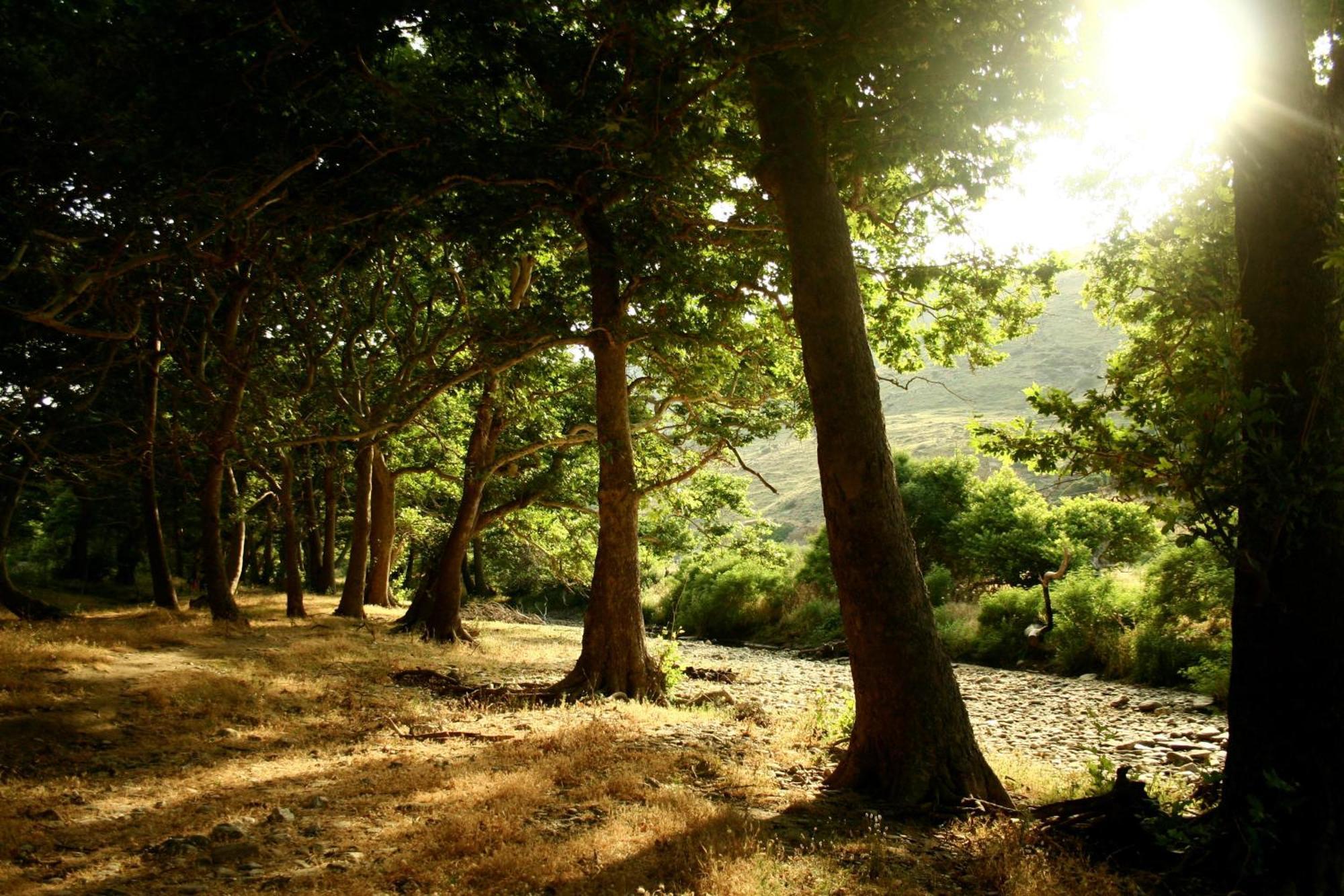منزل الضيف Achla  في Onar Andros المظهر الخارجي الصورة