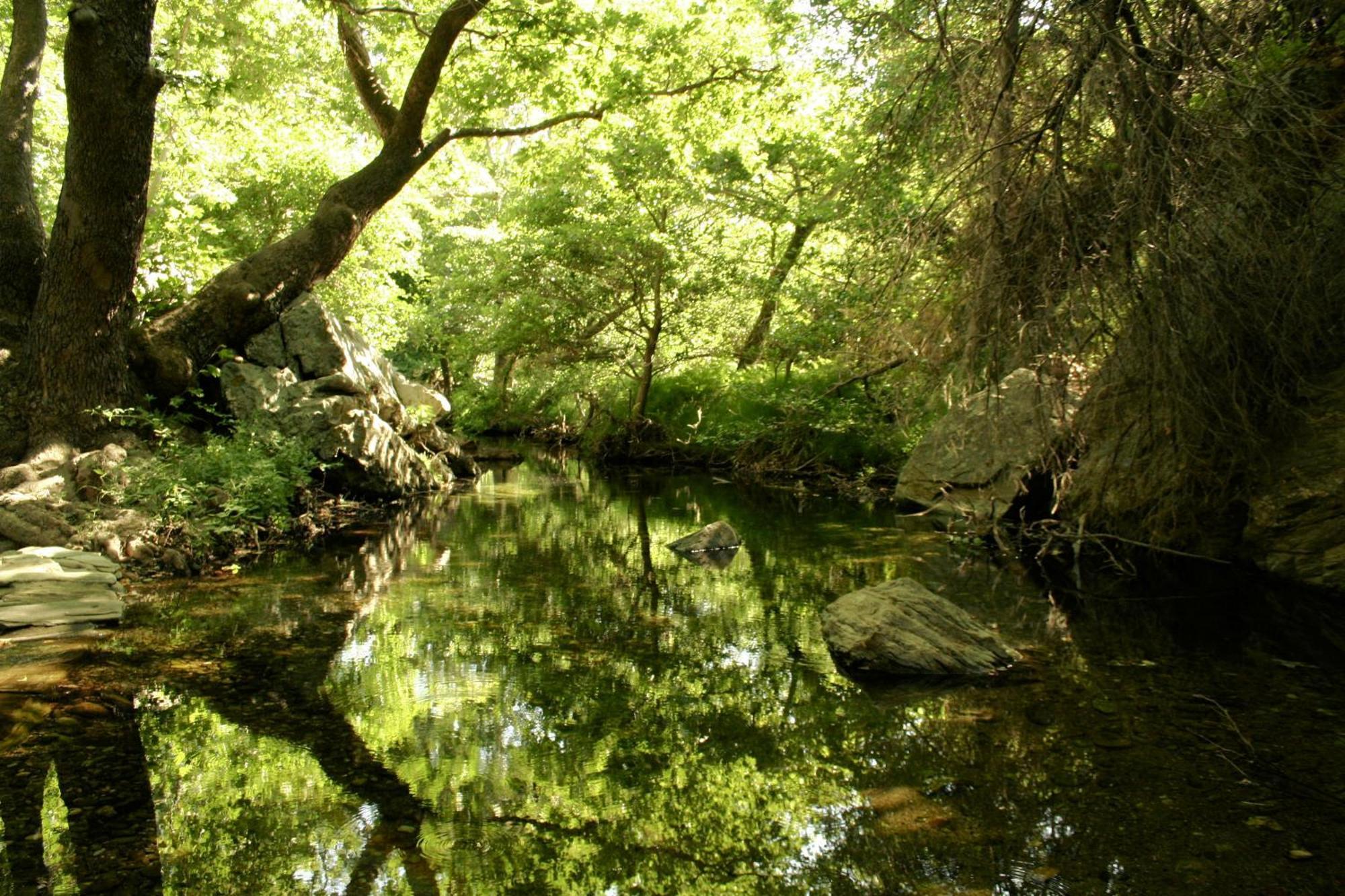 منزل الضيف Achla  في Onar Andros المظهر الخارجي الصورة